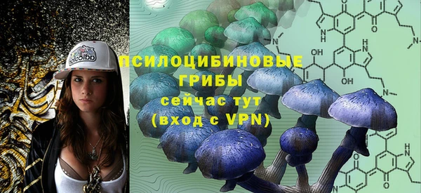 соль ск Аркадак