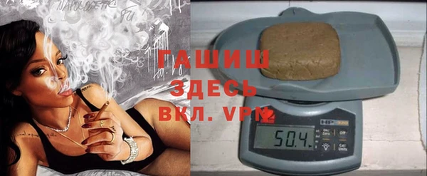 шишки Арсеньев