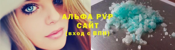 шишки Арсеньев