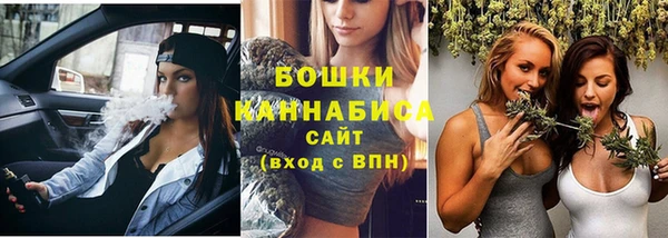 шишки Арсеньев