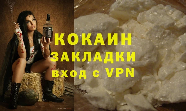 шишки Арсеньев