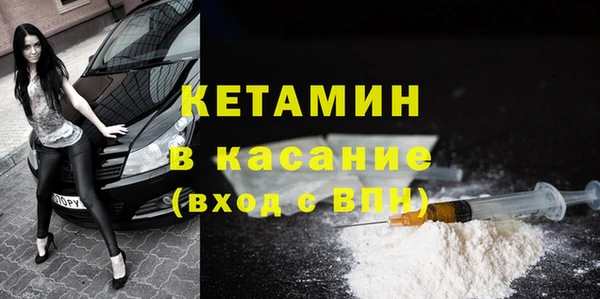 шишки Арсеньев