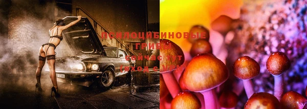 соль ск Аркадак