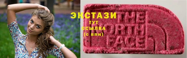 шишки Арсеньев